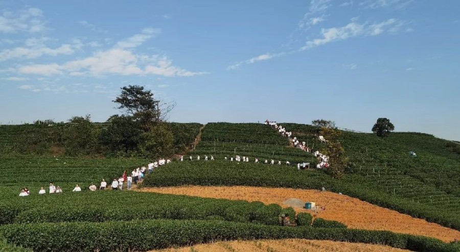 1670303608979659vX04.jpg 微信图片_20221206131057.jpg