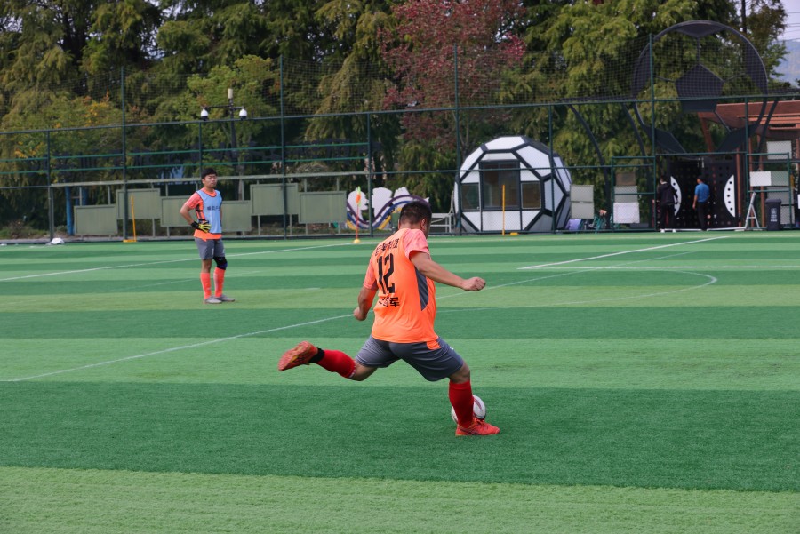 1670311952826741pQD2.jpg AWP_0436.JPG